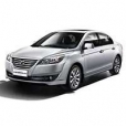 Коврики для Lifan Cebrium
